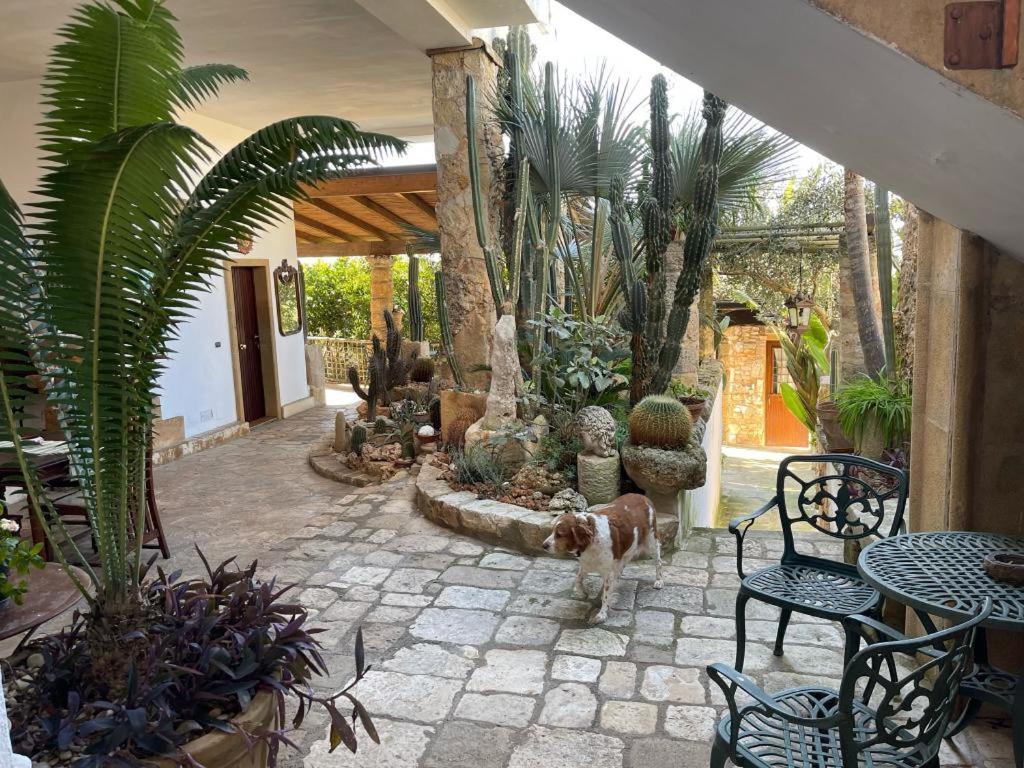 Felline In Bed&Breakfast Dimora Di Charme El Salento Εξωτερικό φωτογραφία